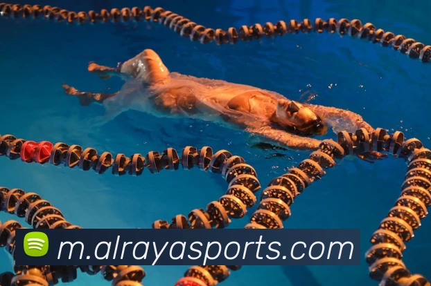 体育下注平台生态图