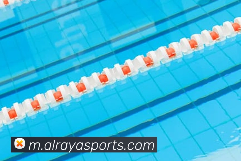 体育下注全站App